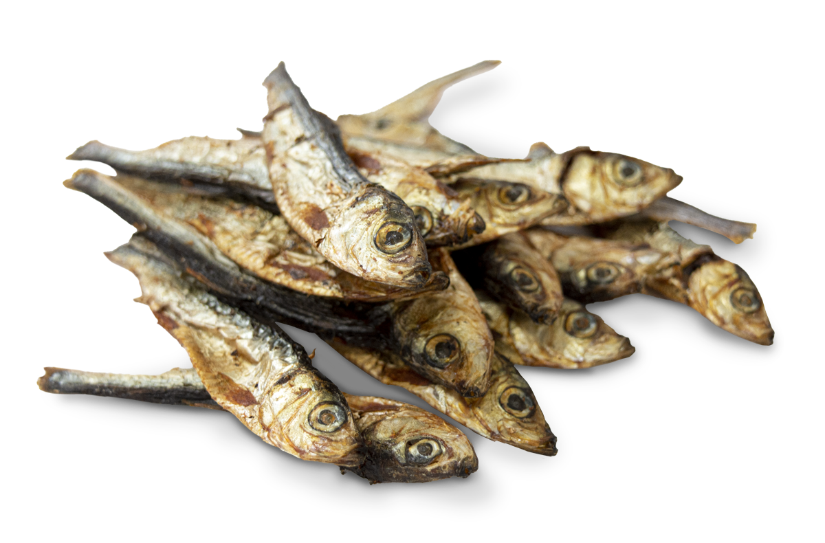 ONLY MEET - SPRATS