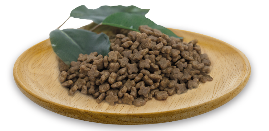LAMB RECIPE - PUPPY - ADULT MINI