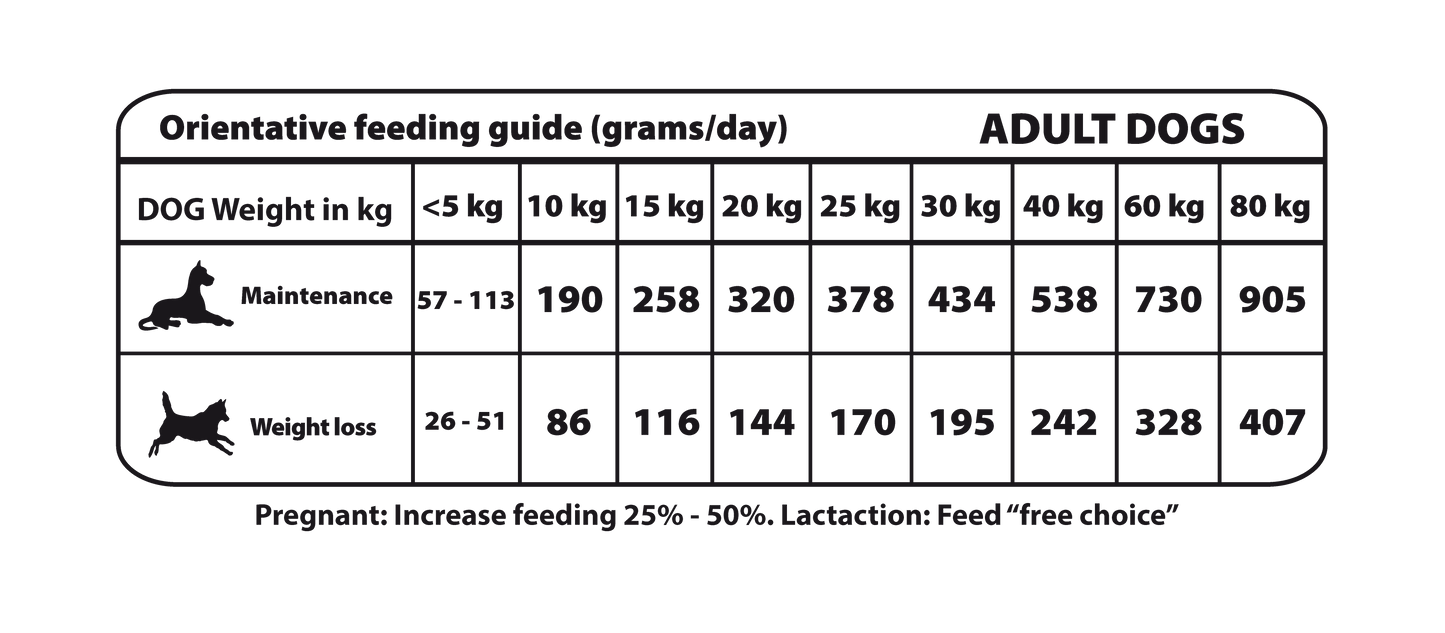 RABBIT RECIPE - LIGHT & FIT