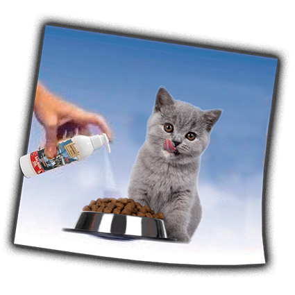 Norwegian Fjord Salmon Oil for dogs and cats