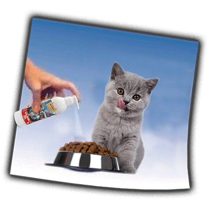 Norwegian Fjord Salmon Oil for dogs and cats