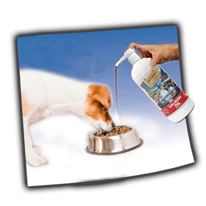 Norwegian Fjord Salmon Oil for dogs and cats