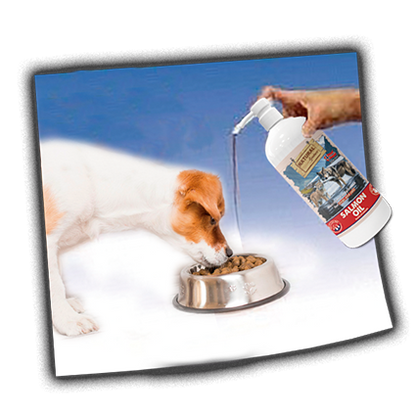 Norwegian Fjord Salmon Oil for dogs and cats